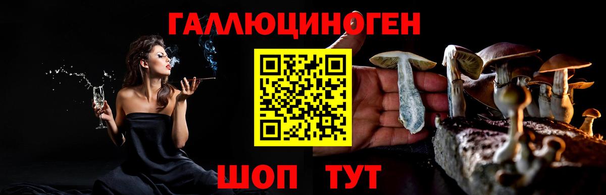 Псилоцибиновые грибы Magic Shrooms Зеленодольск